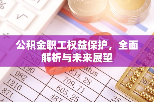 塔什库尔干塔吉克公积金职工权益保护，全面解析与未来展望