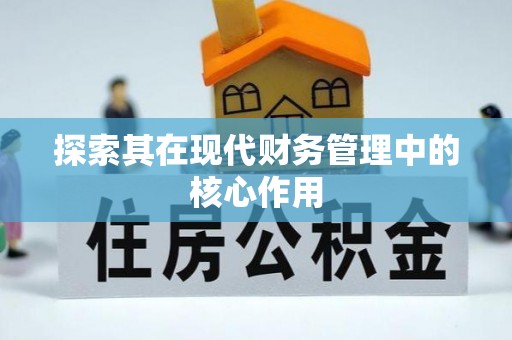 塔什库尔干塔吉克探索其在现代财务管理中的核心作用